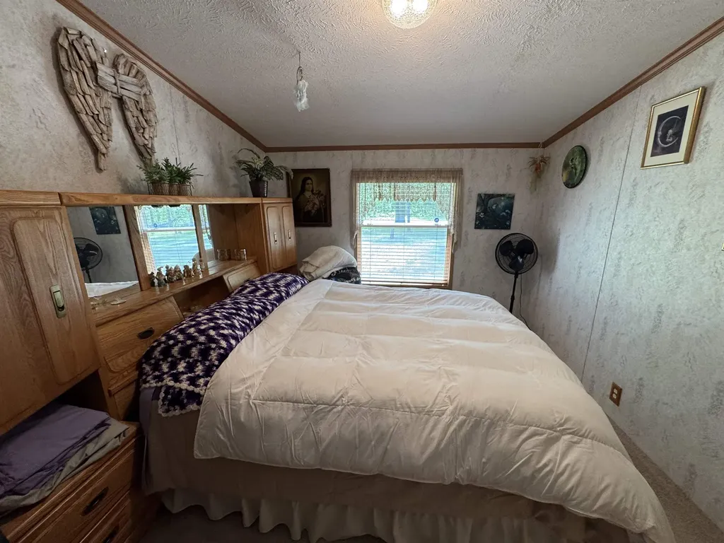 3308 Morrison Road Mills Township MI 48661