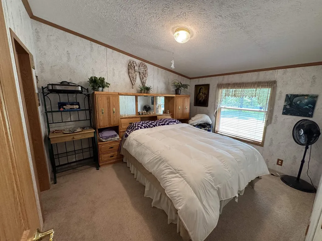 3308 Morrison Road Mills Township MI 48661