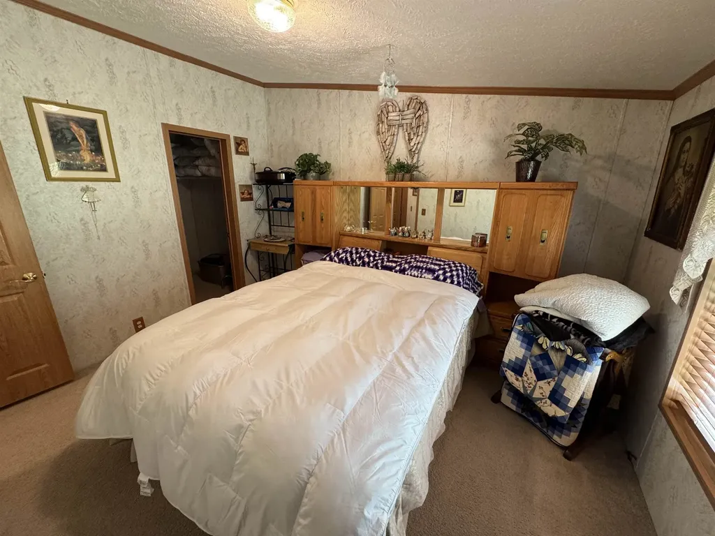 3308 Morrison Road Mills Township MI 48661
