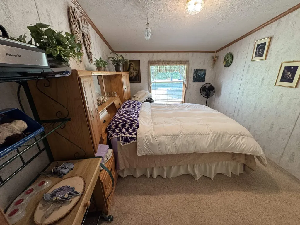 3308 Morrison Road Mills Township MI 48661