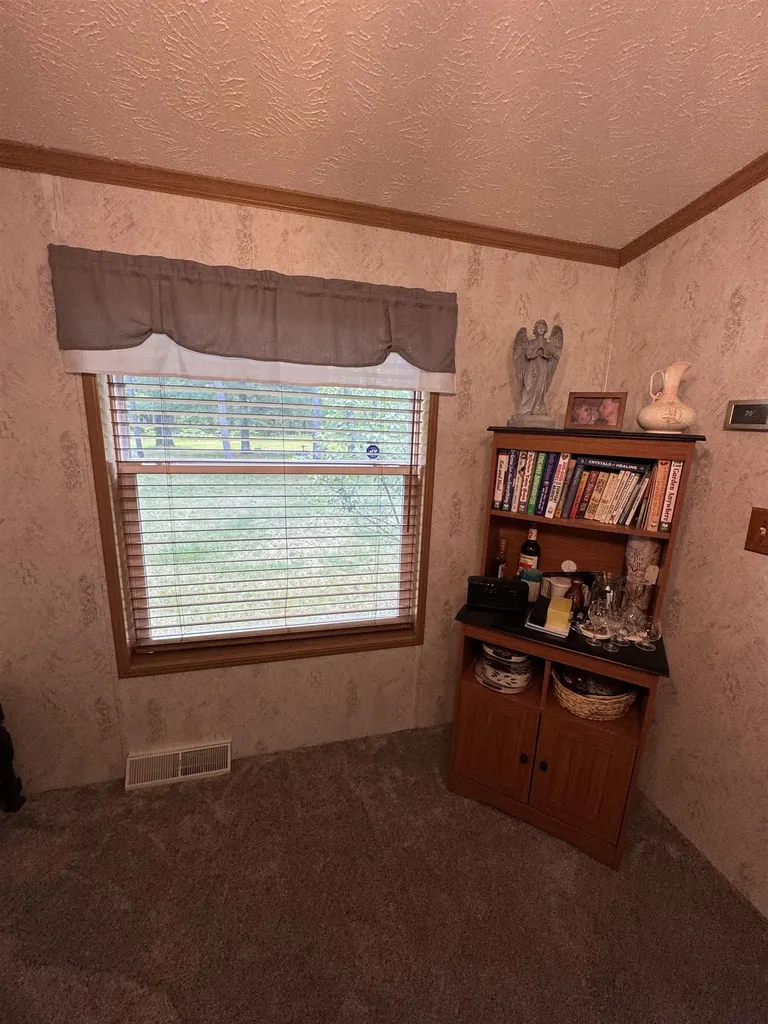 3308 Morrison Road Mills Township MI 48661