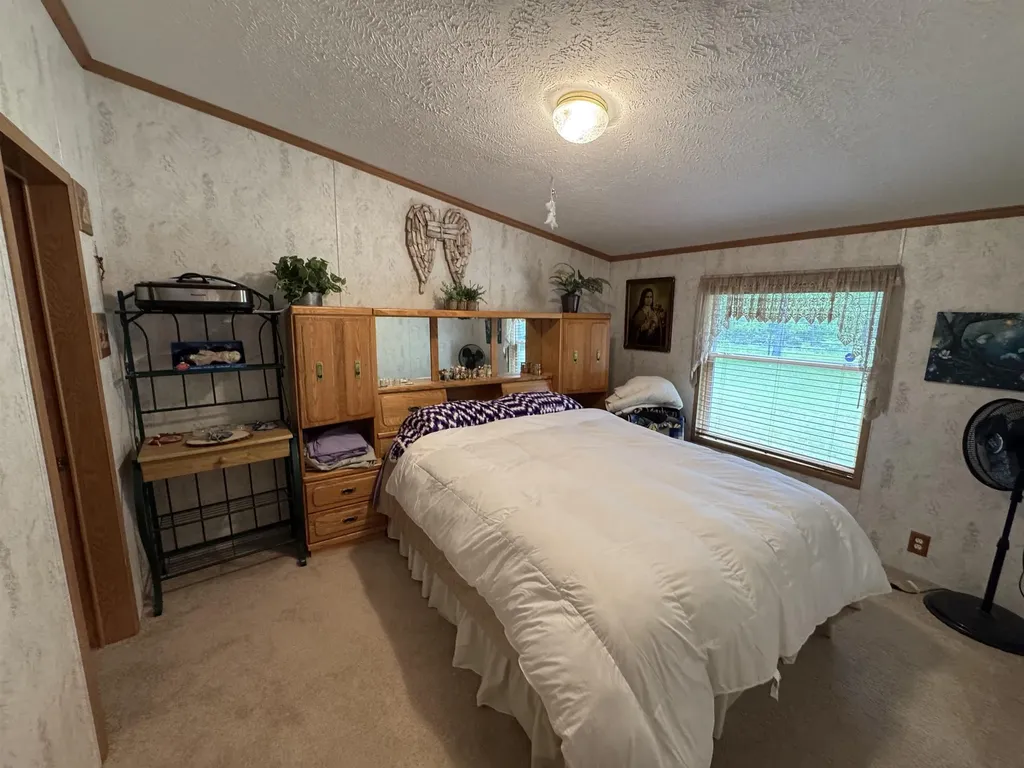 3308 Morrison Road Mills Township MI 48661