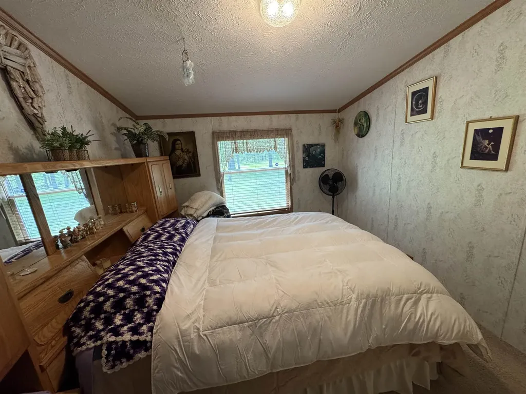 3308 Morrison Road Mills Township MI 48661
