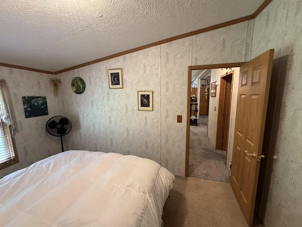 3308 Morrison Road Mills Township MI 48661