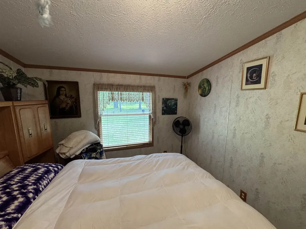 3308 Morrison Road Mills Township MI 48661
