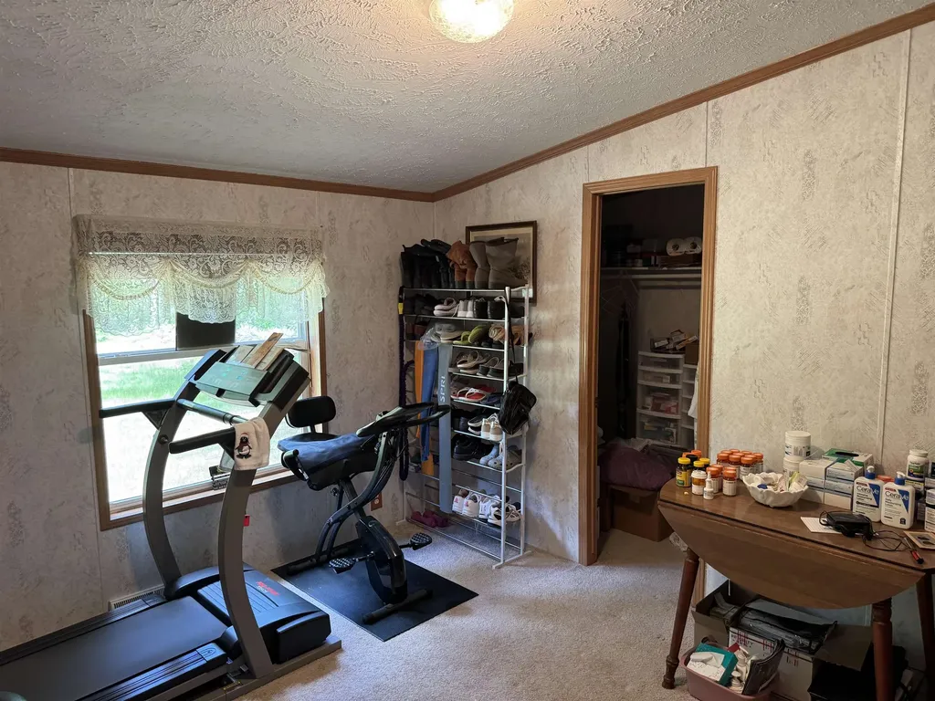 3308 Morrison Road Mills Township MI 48661