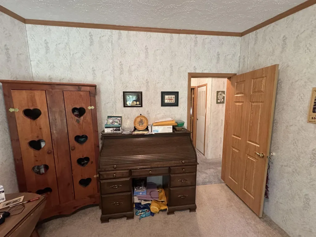3308 Morrison Road Mills Township MI 48661