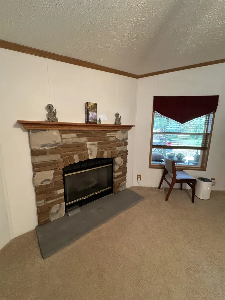 3308 Morrison Road Mills Township MI 48661