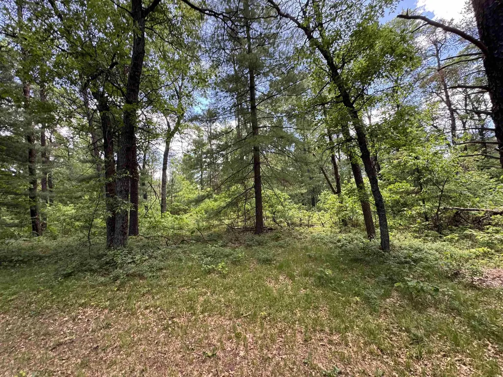 3308 Morrison Road Mills Township MI 48661