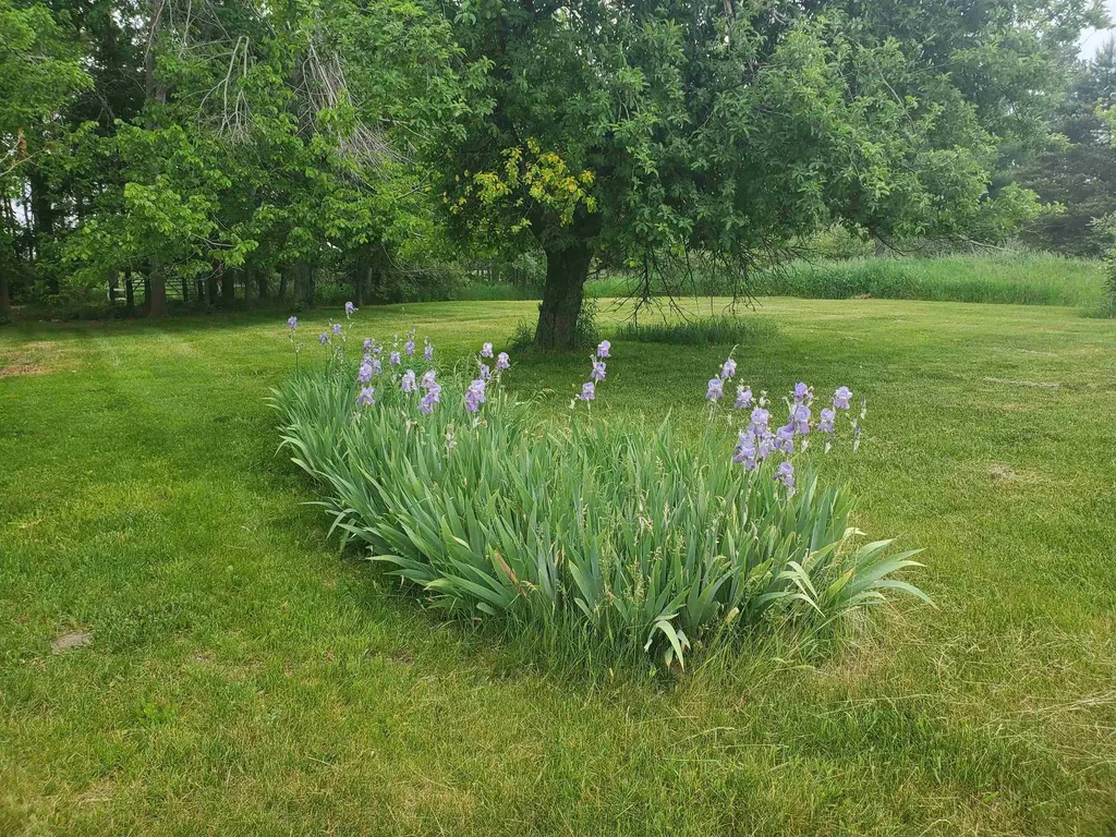 9530 W Denver Road Sherman Township MI 48632