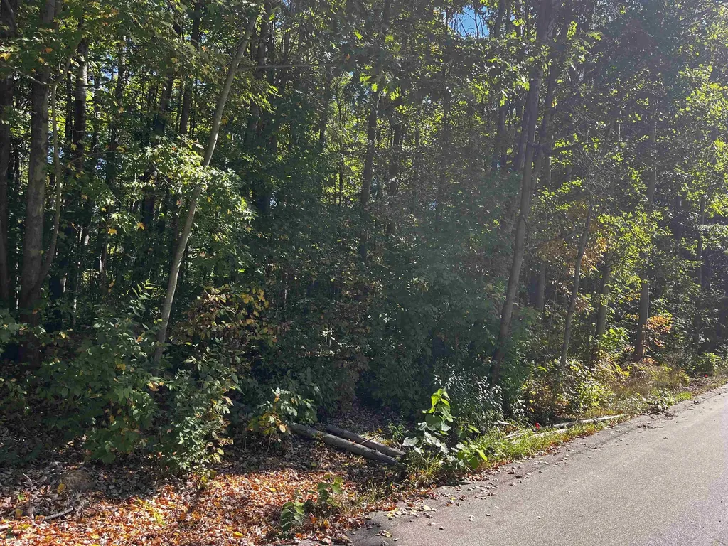 7670 Five Lakes Drive Grant Township MI 48622