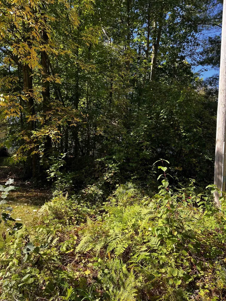 7670 Five Lakes Drive Grant Township MI 48622