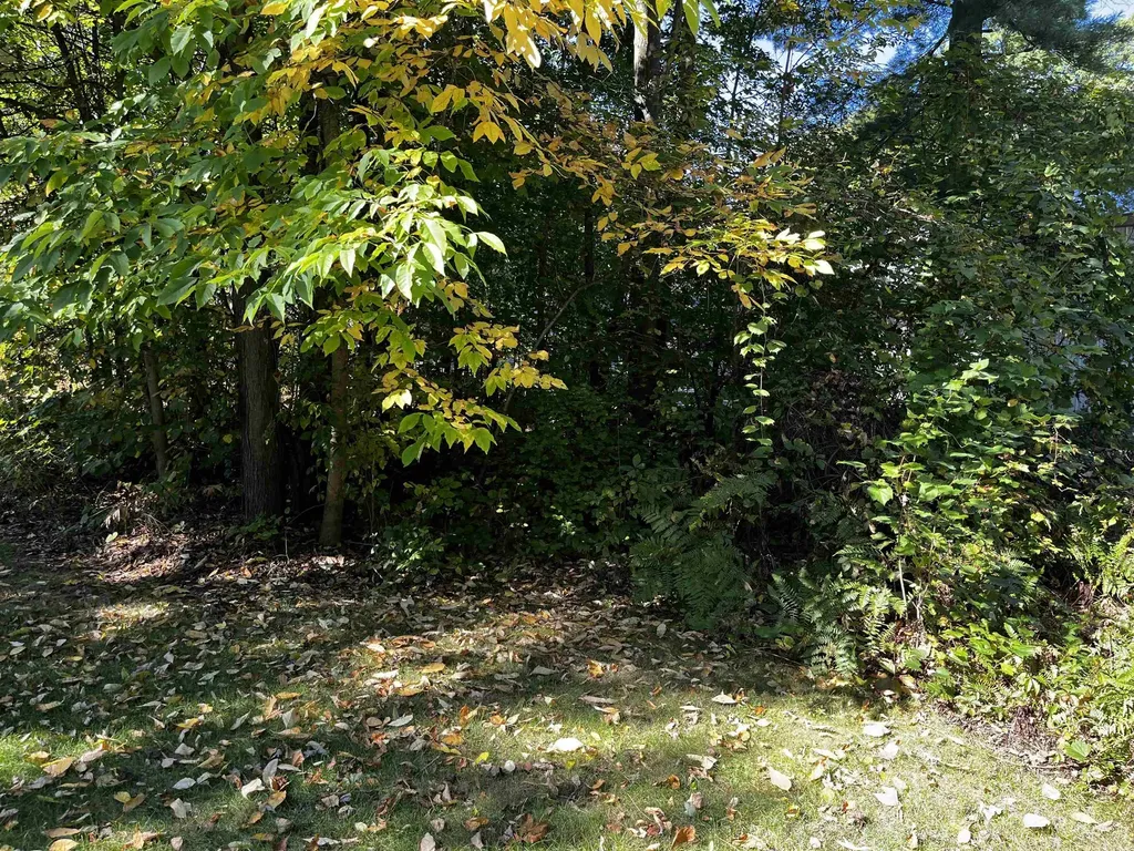 7670 Five Lakes Drive Grant Township MI 48622
