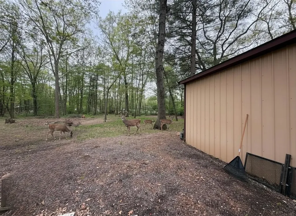 2245 Edgewood Surrey Township MI 48622