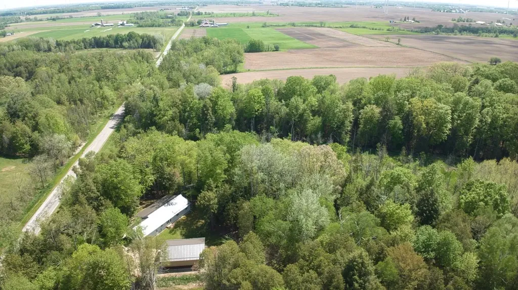 8665 N Meridian Road Gilmore Township MI 48617