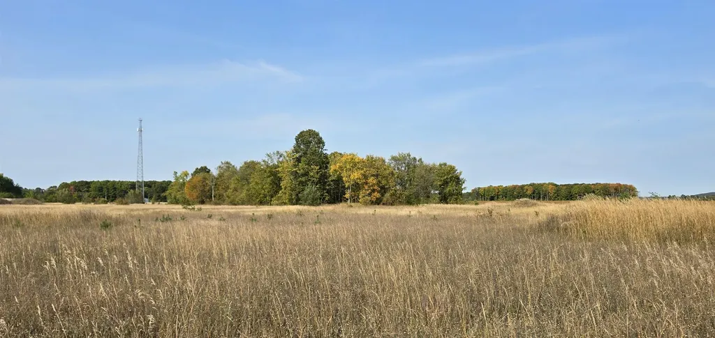 8620 Francis Drive Star Township MI 49730