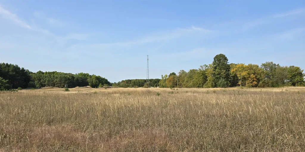 8620 Francis Drive Star Township MI 49730
