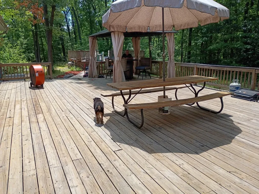 5955 Birchwood Trail Coldwater Township MI 48632