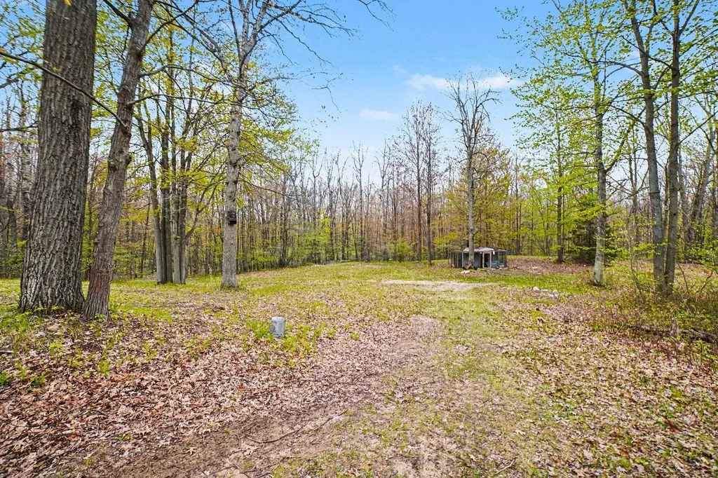 5955 Birchwood Trail Coldwater Township MI 48632