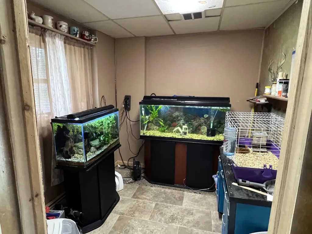 158 Moyer Avenue Alma City MI 48801