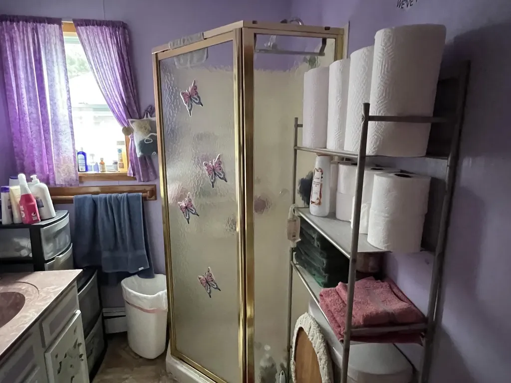 158 Moyer Avenue Alma City MI 48801