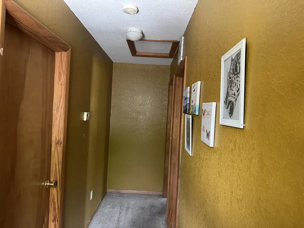 158 Moyer Avenue Alma City MI 48801