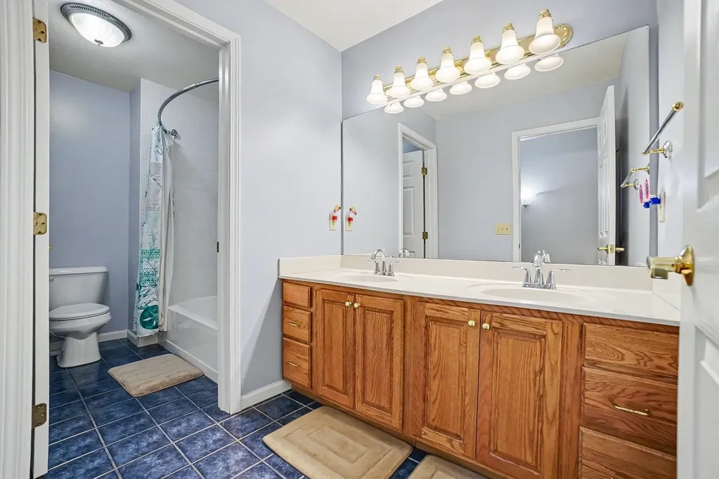 3184 Brittany Drive Union Charter Township MI 48858