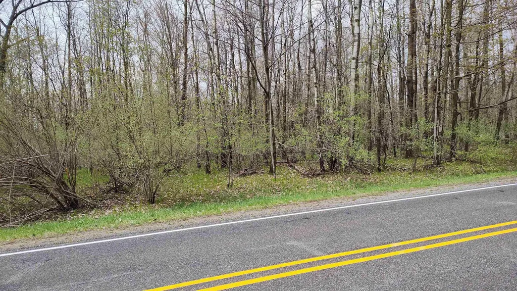 1154 Queensway Drive Lake Isabella Village MI 48893
