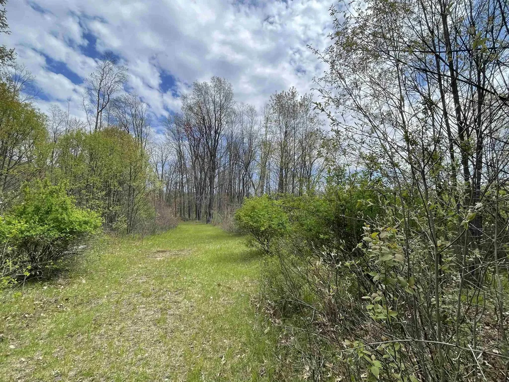 1860 S Jackson Avenue Lincoln Township MI 48625