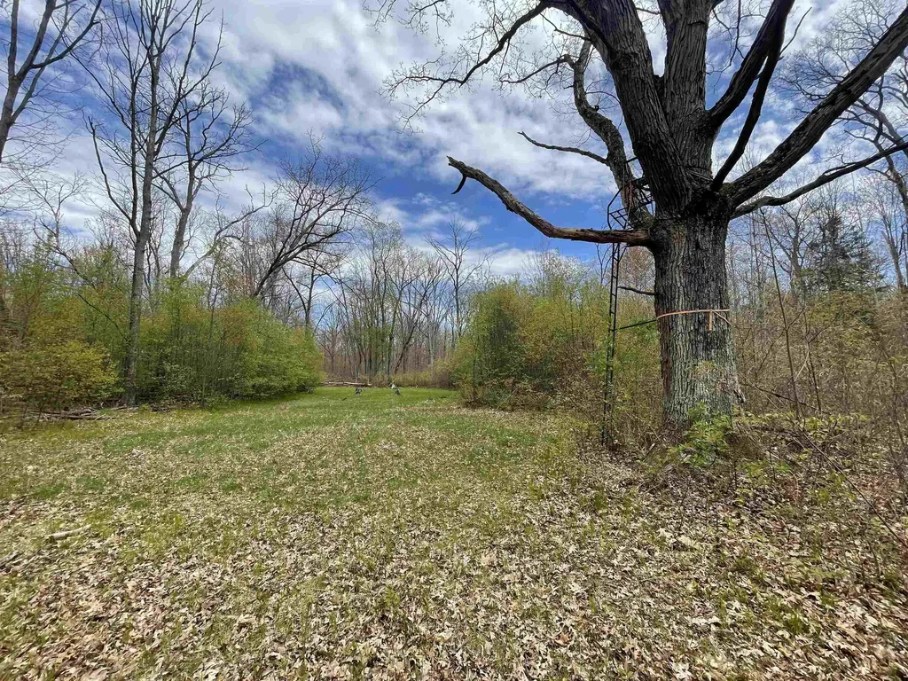 1860 S Jackson Avenue Lincoln Township MI 48625