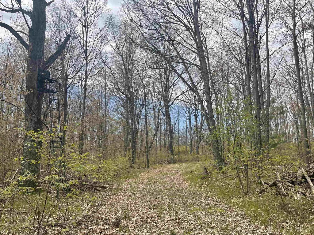 1860 S Jackson Avenue Lincoln Township MI 48625