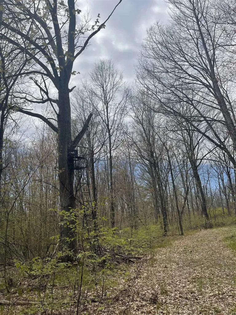 1860 S Jackson Avenue Lincoln Township MI 48625
