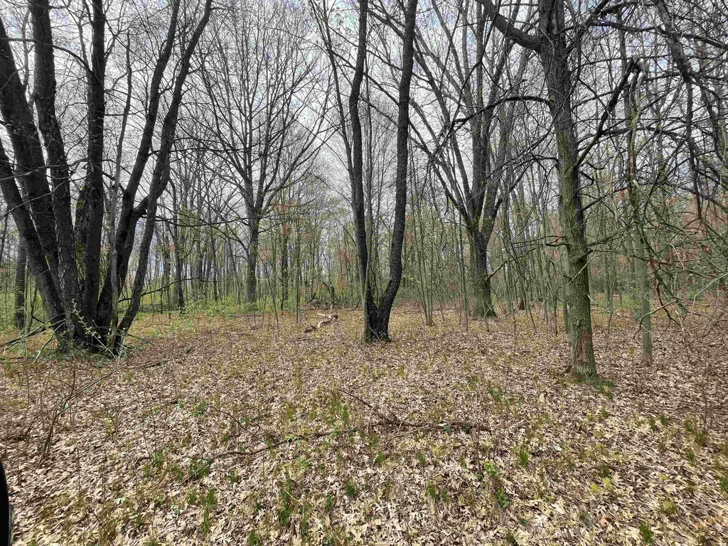 1860 S Jackson Avenue Lincoln Township MI 48625