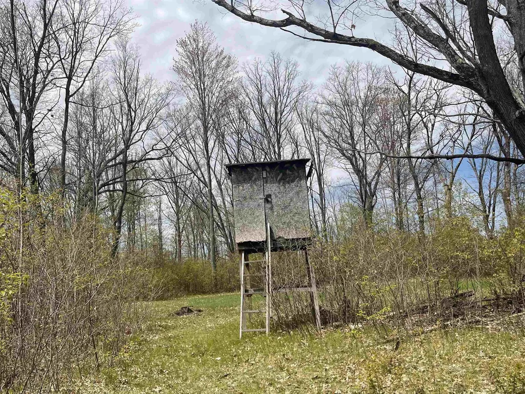 1860 S Jackson Avenue Lincoln Township MI 48625