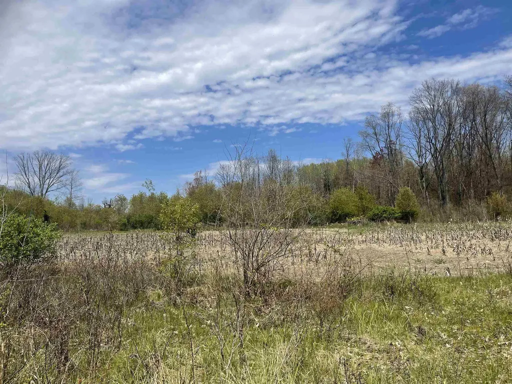 1860 S Jackson Avenue Lincoln Township MI 48625