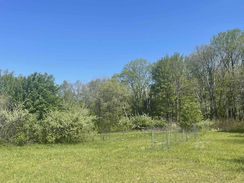 1860 S Jackson Avenue Lincoln Township MI 48625