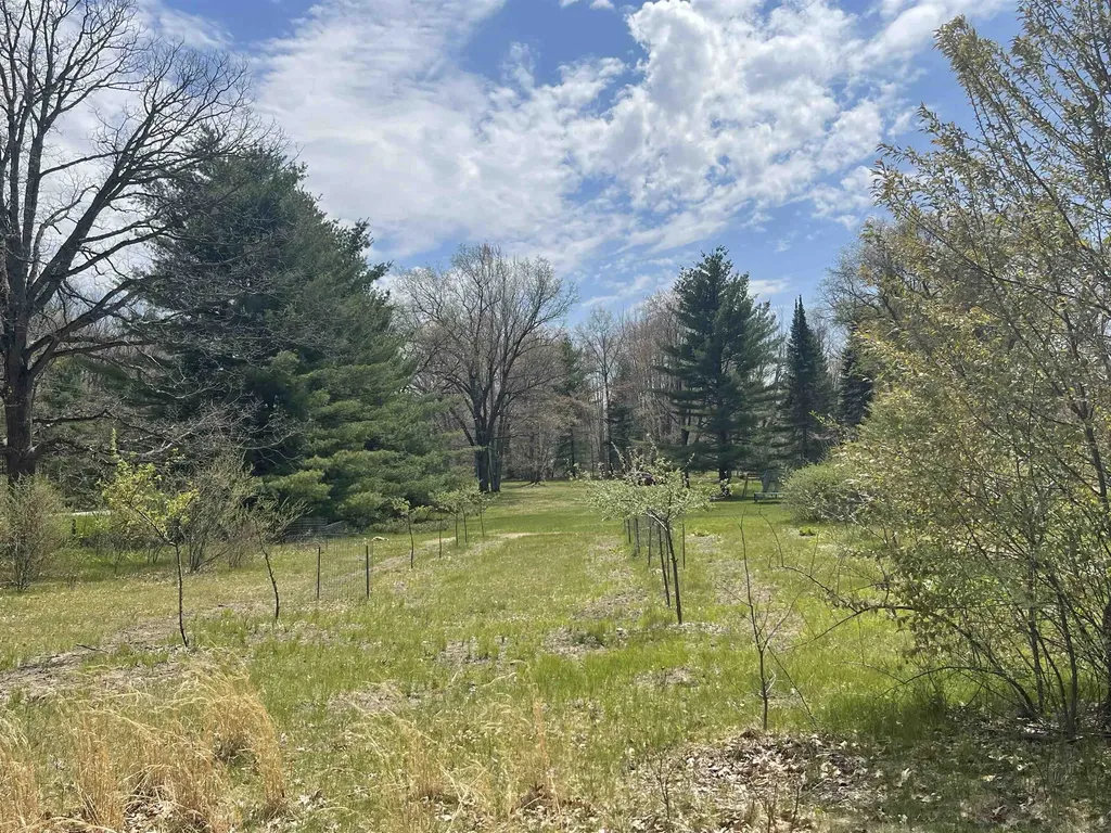 1860 S Jackson Avenue Lincoln Township MI 48625