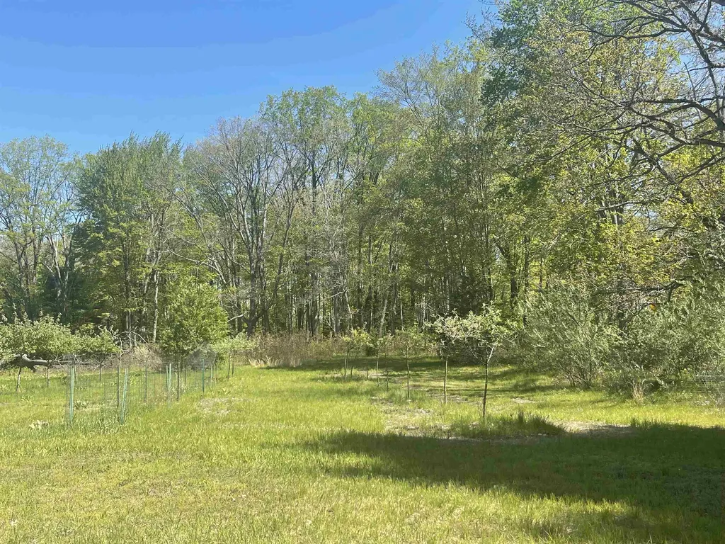 1860 S Jackson Avenue Lincoln Township MI 48625