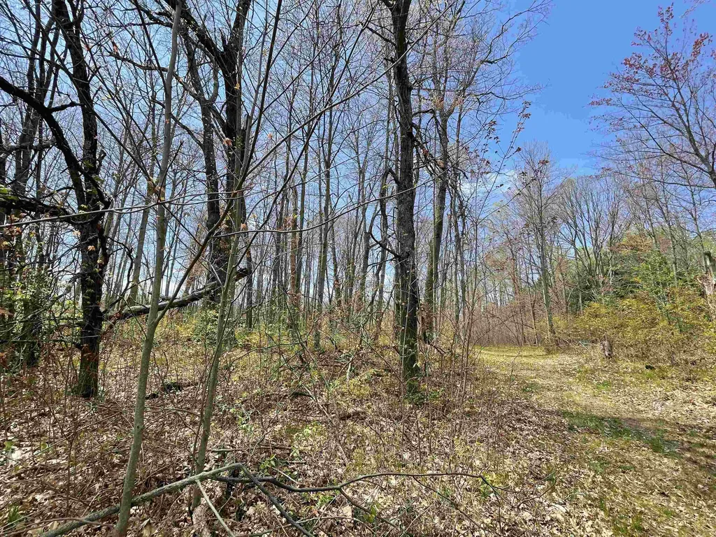 1860 S Jackson Avenue Lincoln Township MI 48625