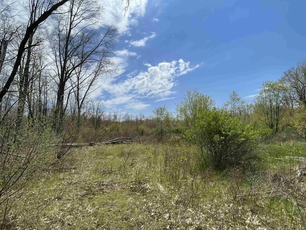 1860 S Jackson Avenue Lincoln Township MI 48625