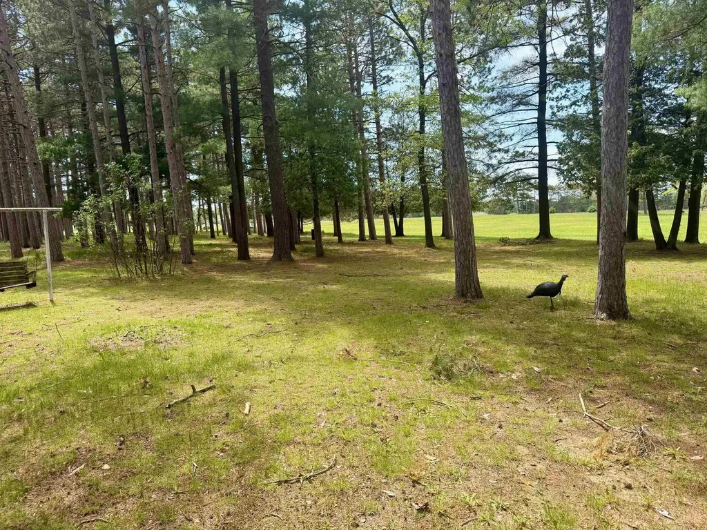 2659 N Johnson Road Nottawa Township MI 48893