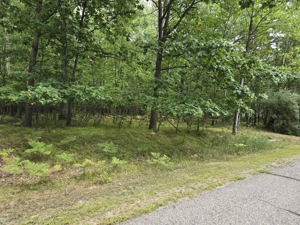 1009 Castle Drive Lake Isabella Village MI 48893