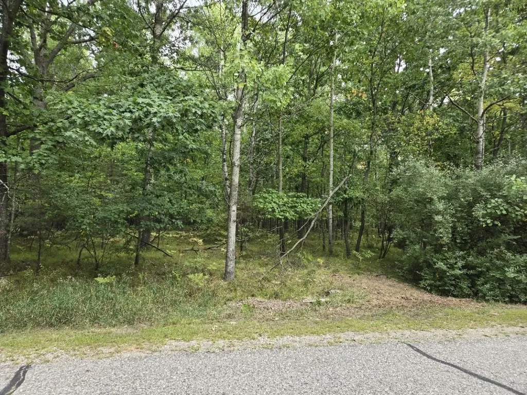 1009 Castle Drive Lake Isabella Village MI 48893