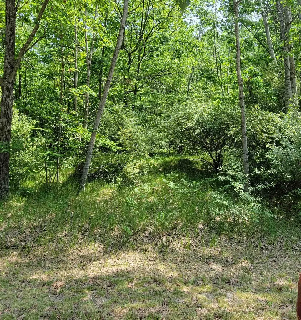 1144 Queensway Drive Lake Isabella Village MI 48893