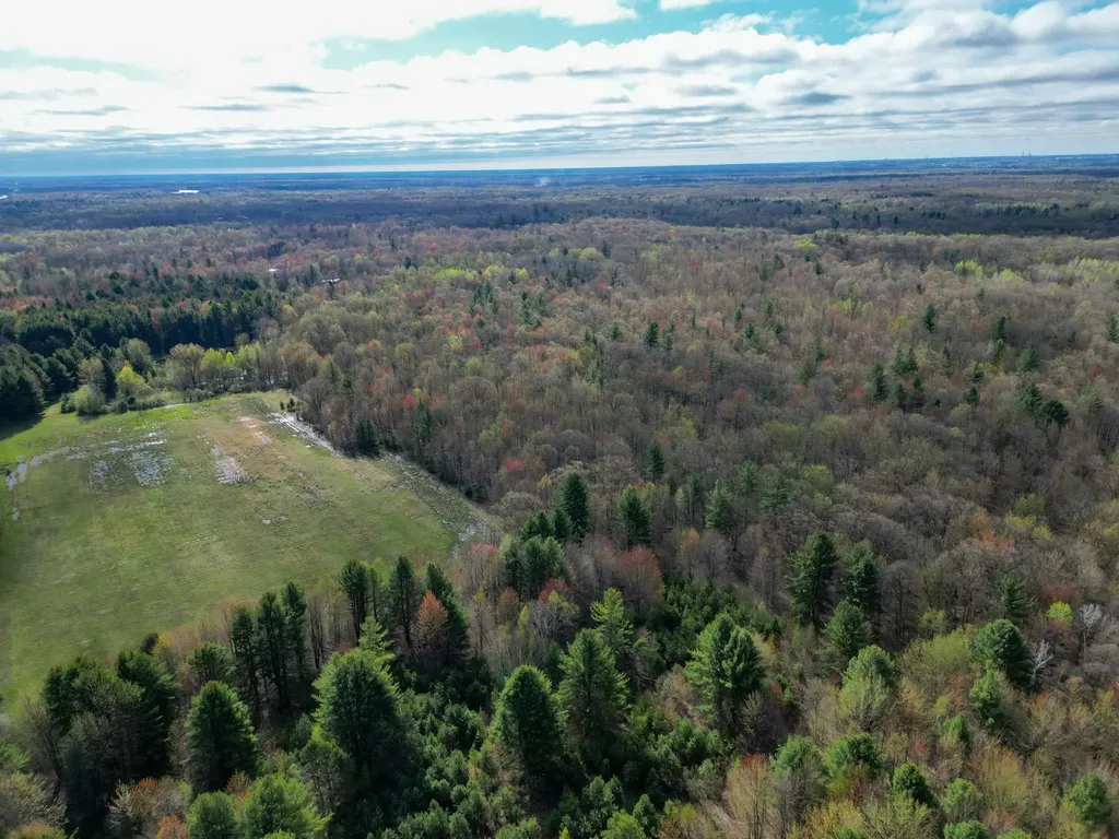 8670 E Pickard Road Chippewa Township MI 48858