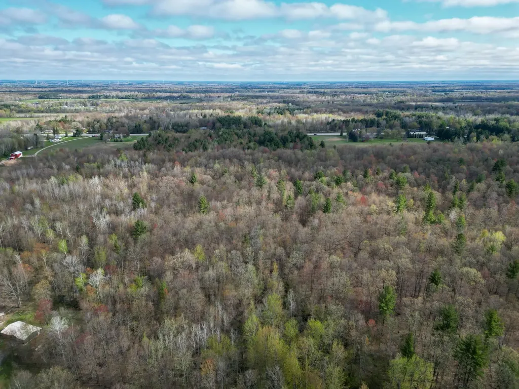 8670 E Pickard Road Chippewa Township MI 48858