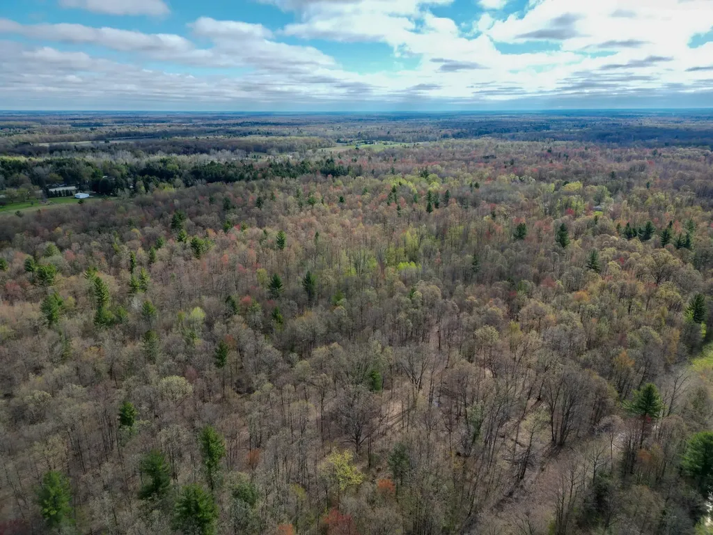 8670 E Pickard Road Chippewa Township MI 48858