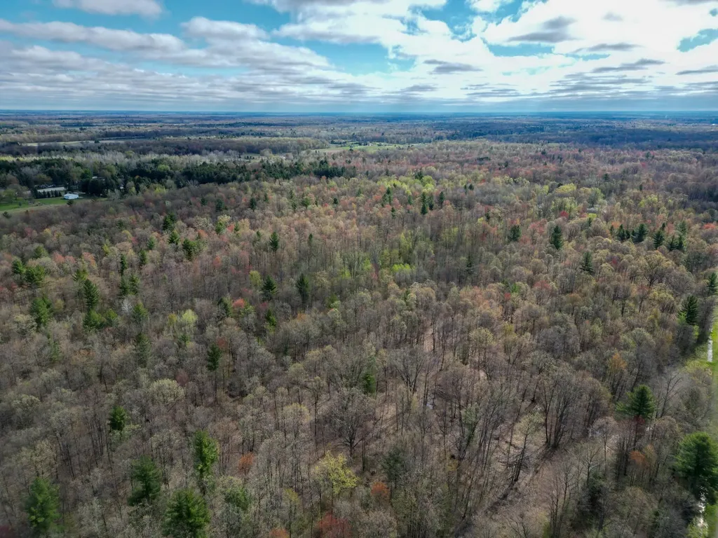 8670 E Pickard Road Chippewa Township MI 48858