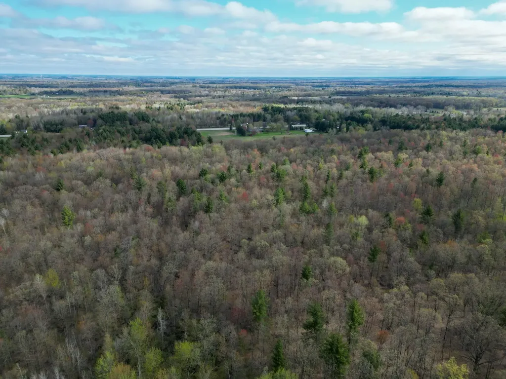 8670 E Pickard Road Chippewa Township MI 48858
