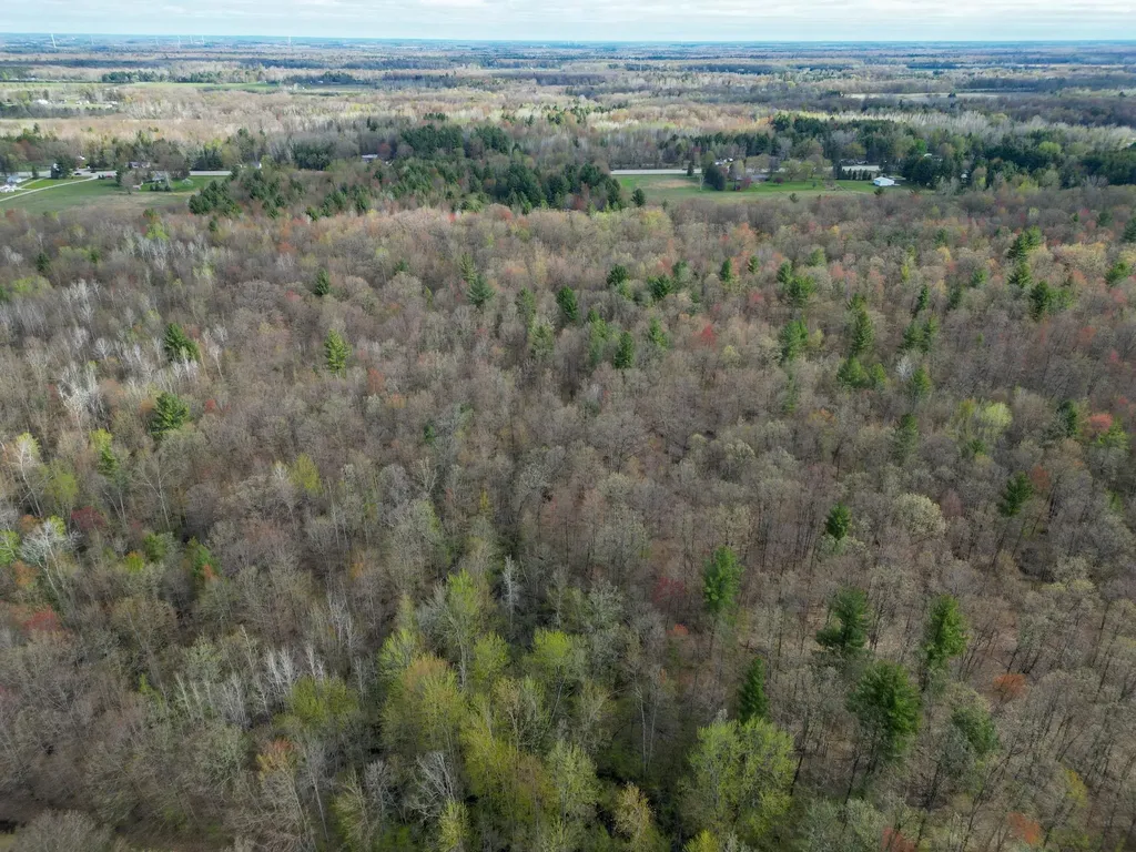 8670 E Pickard Road Chippewa Township MI 48858